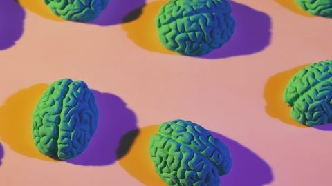 Représentation de cerveaux de coloris verts sur fond rose