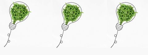 1ère édition du Congrès de la Communication Responsable Ampoule avec du buis à l'intérieur