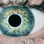 Un œil à l'iris vert
