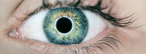 Worldcoin : le patron d’OpenAI (ChatGPT) mène aussi un projet crypto douteux Un œil à l'iris vert