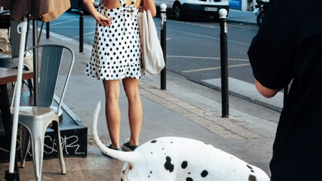 Capture d’écran 2023-06-15 à 12.07.02 Capture d’écran 2023-06-15 à 12.07.02