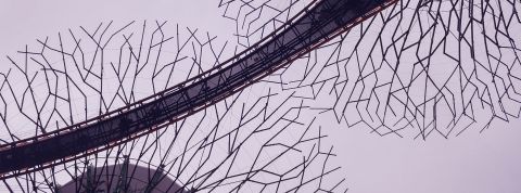 biomimetisme biomimetisme