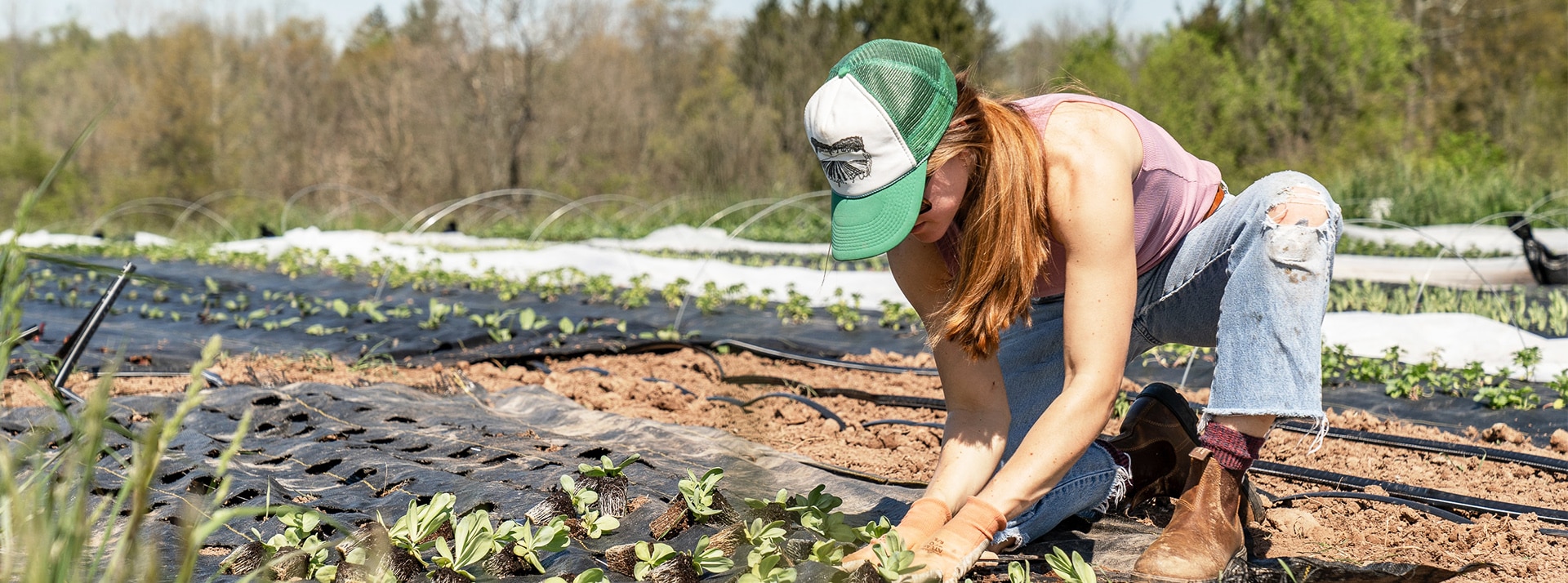 Agriculture régénératrice : sauver les sols pour nourrir l'avenir Femme en jeans et casquette dans un champ de pousses