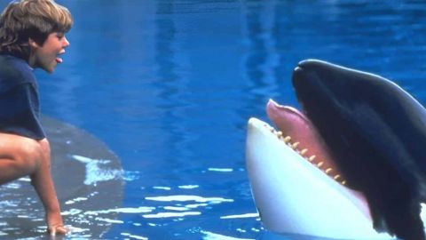 Image du film Sauvez Willy