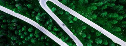 Greenwashing : - les Français ne croient plus aux (fausses) promesses des entreprises - route qui passe a travers la foret