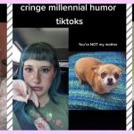 Des internautes TikTok