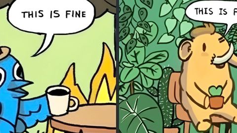 Mème de Twitter versus Mastodon