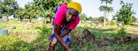 Pour les agriculteurs sénégalais l'envoi de notes vocales sur l’application WhatsApp ouvre de nouvelles perspectives. Femme dans un champ