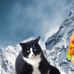 L'Everest, un chat, un burger et un phare