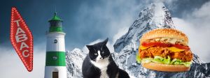 L'Everest, un chat, un burger et un phare