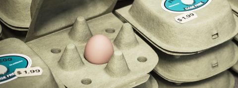 Shrinkflation, le consommateur est le dindon de la farce Une boîte pour un œuf unique