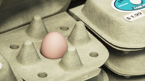 Une boîte pour un œuf unique