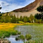 Capture du film : Et au milieu coule une rivière