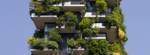 victor-unsplash-architecture Un bâtiment et des arbres