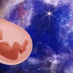 Un embryon sur fond d'images spatiales