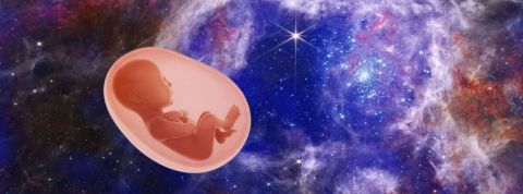 Avoir des bébés dans l'espace : le projet dont on a vraiment besoin Un embryon sur fond d'images spatiales