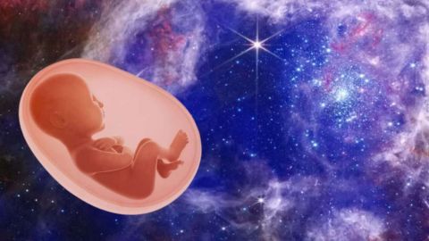 Un embryon sur fond d'images spatiales