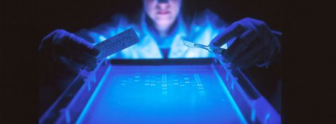 Les infos d’utilisateurs de tests ADN en vente : la fuite de donnée prend un nouveau tournant Une laborantine travaillant sur la fragmentation de l'ADN