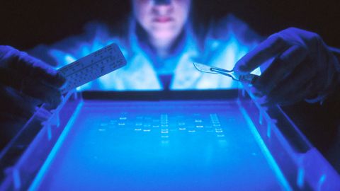 Une laborantine travaillant sur la fragmentation de l'ADN