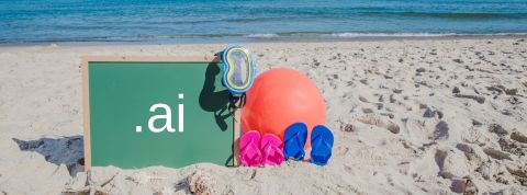 Détentrice du nom de domaine «.ai », l'île se retrouve propriétaire d'une appellation que s'arrachent toutes les sociétés spécialisées dans l'intelligence artificielle. Plage et logo IA, ballon et méduses