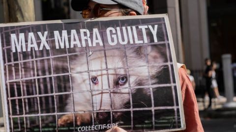 Affiche  - Max Mara guilty -  avec un vison en cage