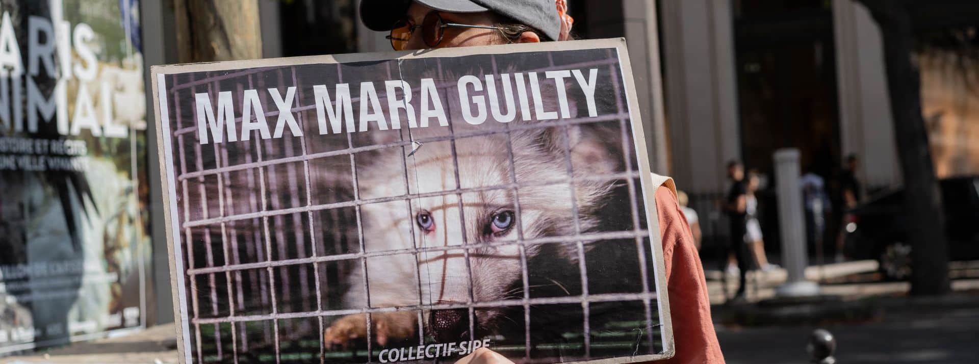 Le collectif SIPE organise deux campagnes de pression contre LVMH et Max Mara ayant pour objectif l'arrêt de la fourrue animale - L'ADN Affiche "Max Mara guilty" avec un vison en cage
