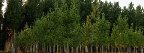 pexels-andreas-18142907 pexels-andreas-18142907