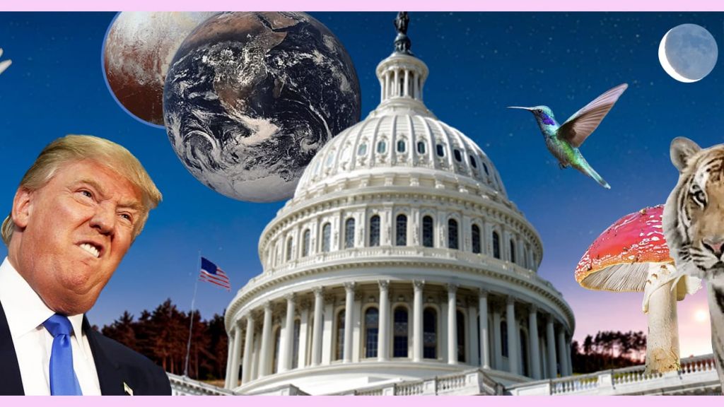 Sur un fond étoile, le Capitole, un tigre et Trump