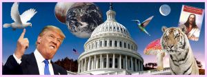 Sur un fond étoile, le Capitole, un tigre et Trump