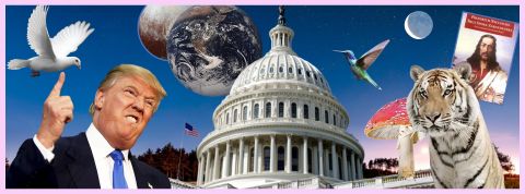Le mariage heureux enter QAnon et sphère bien-être Sur un fond étoile, le Capitole, un tigre et Trump