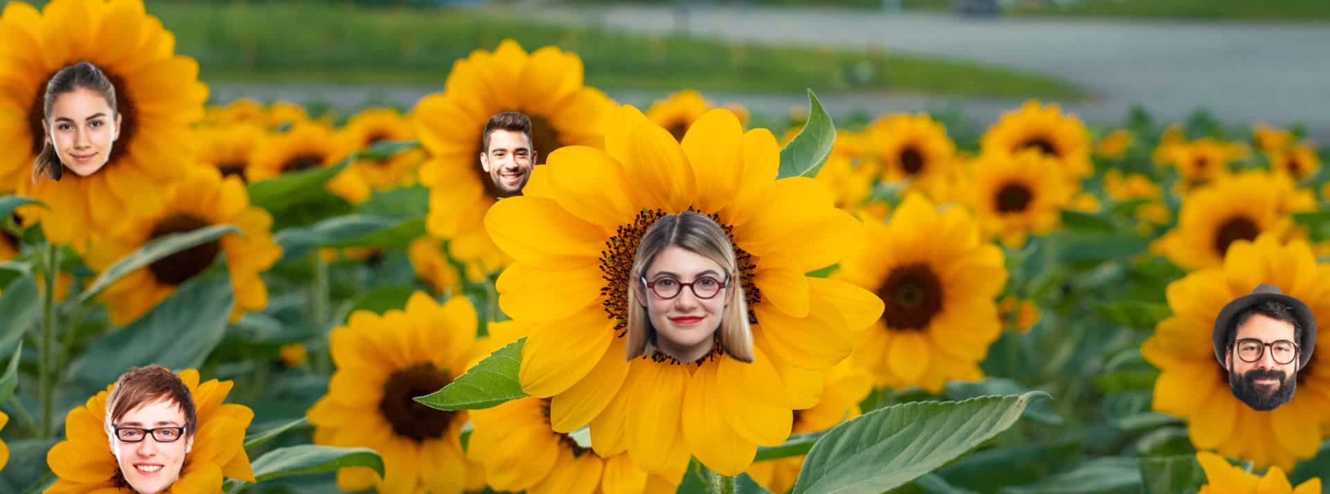La demande de talents verts qui s’accélère - L'ADN Tournesols