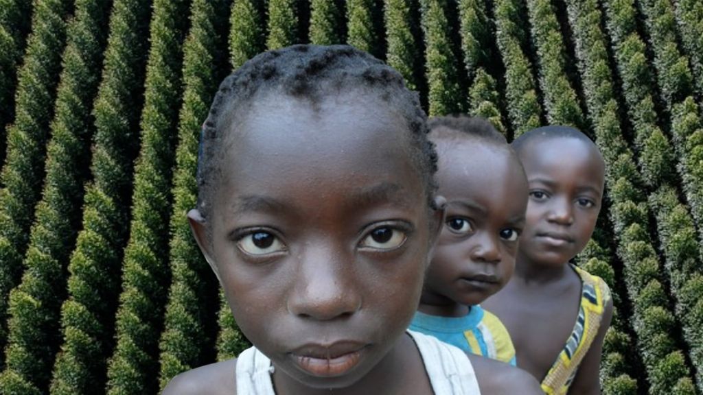 La compensation carbone : un lévier d'inaction climatique au prix des droits humains? Enfants congolais