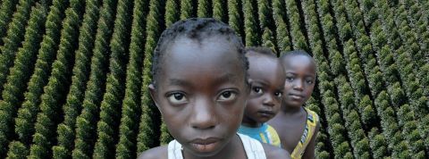 La compensation carbone : un lévier d'inaction climatique au prix des droits humains? Enfants congolais