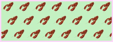 Qui sont les cols bleus qui font des vues sur TikTok ? Des homards sur fond vert