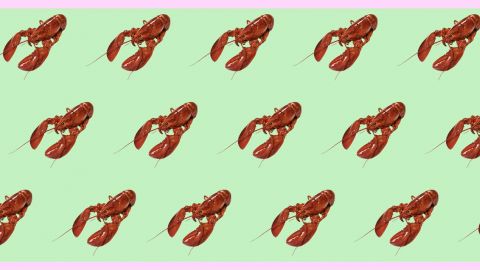 Des homards sur fond vert