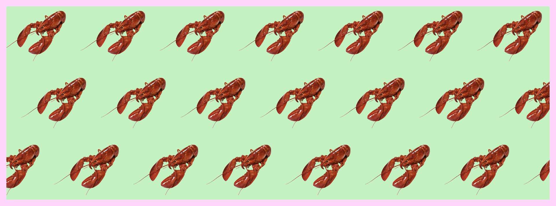 Qui sont les cols bleus qui font des vues sur TikTok ? - L'ADN Des homards sur fond vert