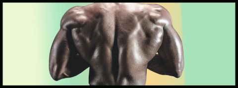 C'est quoi le looksmaxxing ? Le dos d'un homme musclé