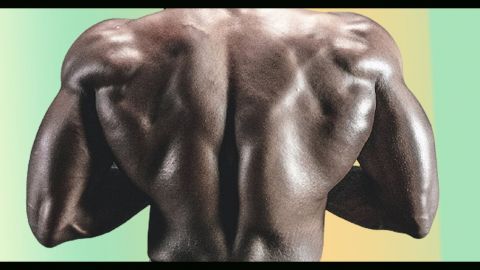 Le dos d'un homme musclé