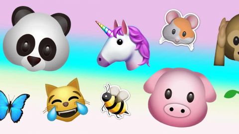 Les scientifiques demandent plus d’émojis d'insectes et de champignons aquatiques, merci