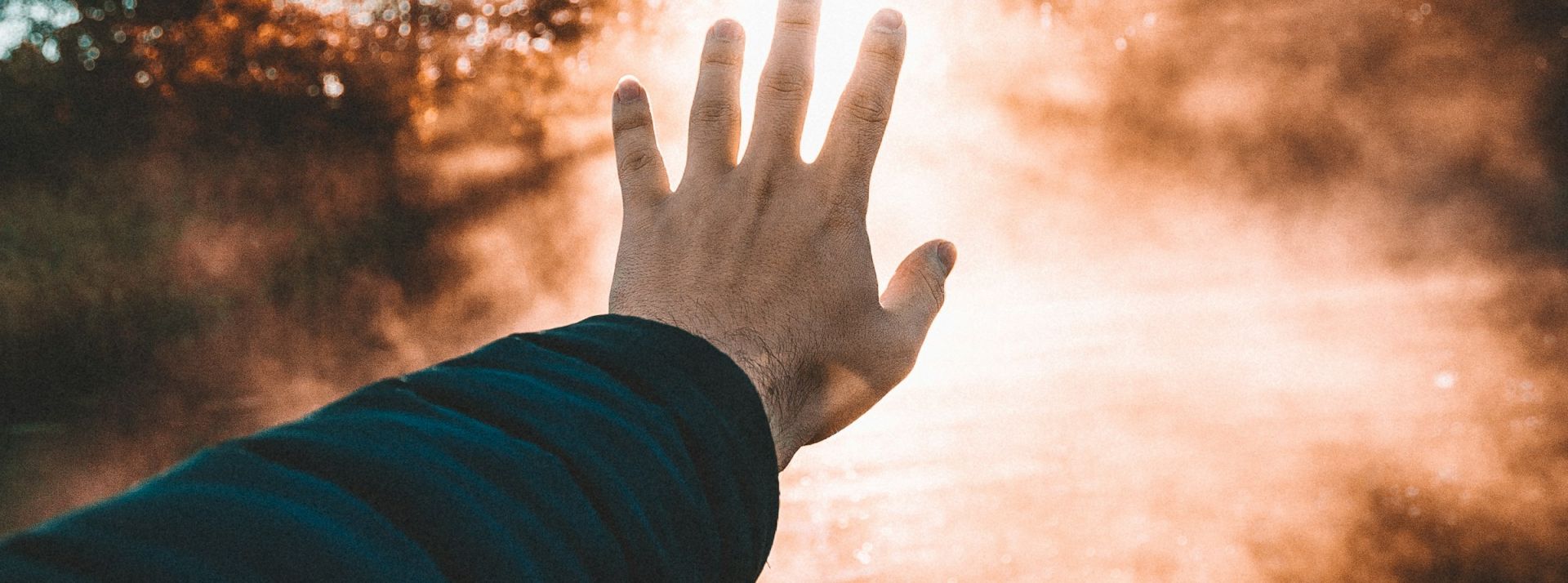 rihards-dicis-tOxf3Pckeqo-unsplash (1) - L'ADN