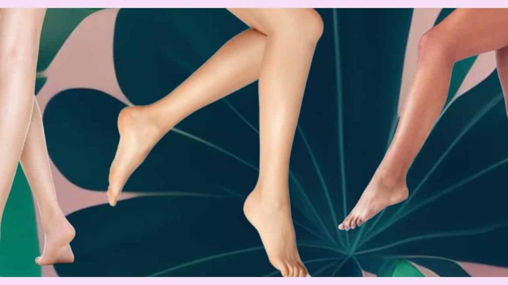 Des jambres sur fond de feuilles