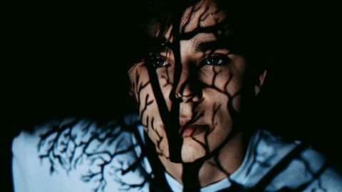 Visage avec l'ombre d'un arbre dessus