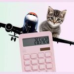 Une calculatrice, un chat et une CB