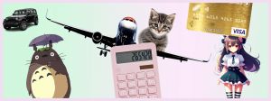 Une calculatrice, un chat et une CB