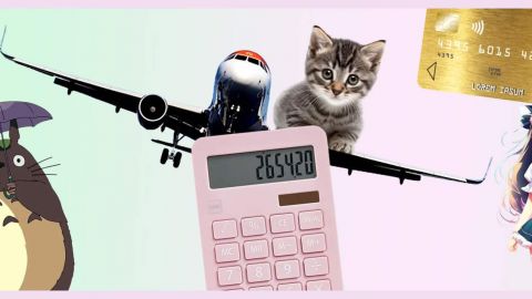 Une calculatrice, un chat et une CB