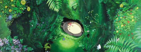 La bonne idée : préserver la biodiversité Une forêt