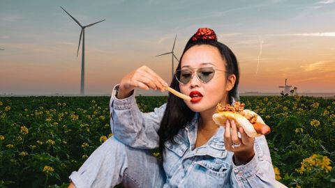 Montage d'une fille asiatiquequi mange un hot dog devant un champ de fleurs avec des éoliennes au fond