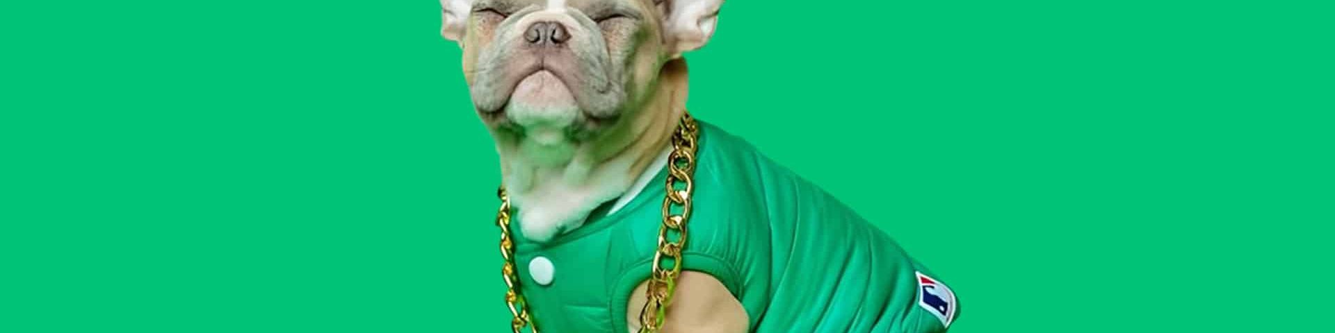 petmania petmania