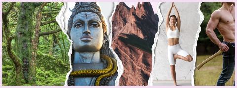 Podcast : plongée à la croisée des éco-fascistes et des éco-spirituels Foret, bouddha, montagen rose, yoga girl et bucheron musclé