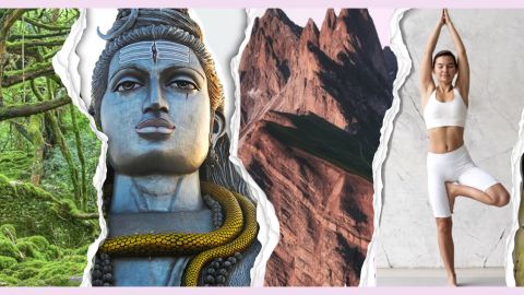 Foret, bouddha, montagen rose, yoga girl et bucheron musclé